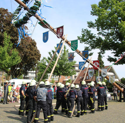 Mit reiner Muskelkraft wurde der Maibaum auf dem Spiekerplatz in Buldern aufgestellt. Foto: Wübbelt