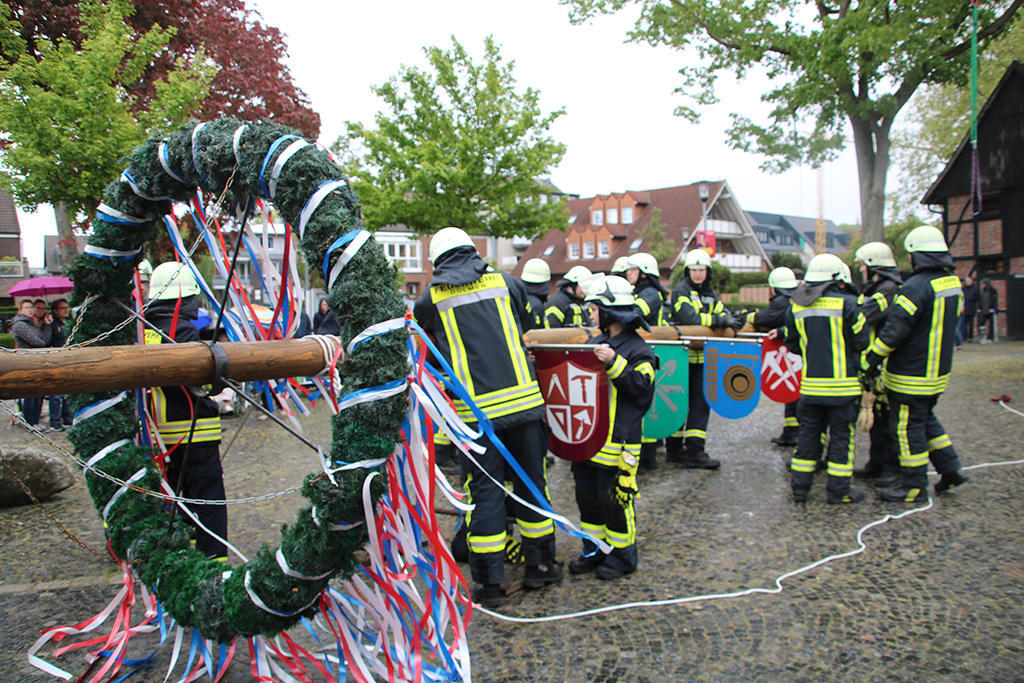 Mit Muskelkraft musste der Maibaum in Position gebracht werden